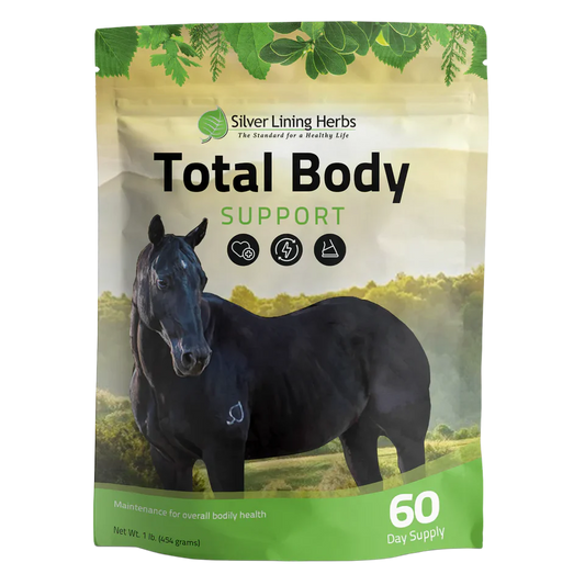 Total Body