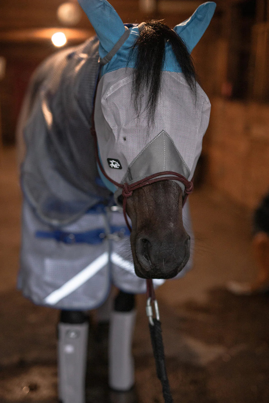 Buzz-Off Fly Mask