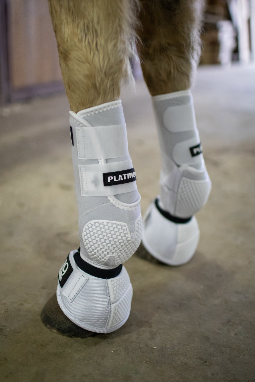 J9 Equine