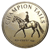 Champions Stain Remover