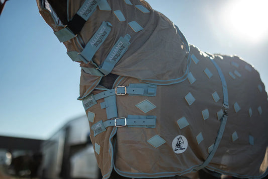 **PRE ORDER** Magnitude Magnetic Sheet