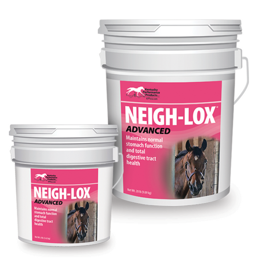 KPP Neigh Lox Advance