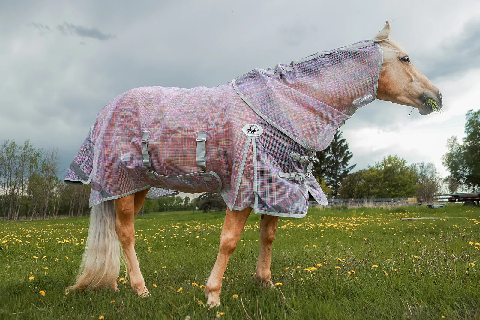Buzz Off Fly Sheet