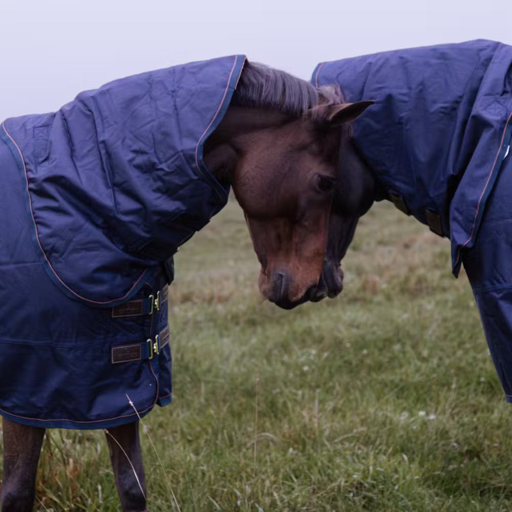 PRE-ORDER Turnout Rug All Weather Waterproof Pro (NECK PIECE SOLD SEPARATELY)