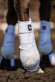 Alliance Equine V20X