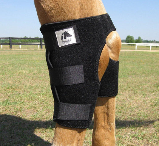 Fenwick LT Hock Boots