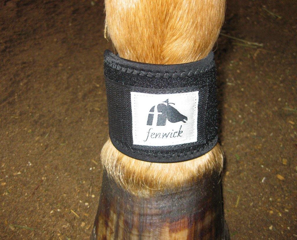 LT Pastern Wrap (pair)