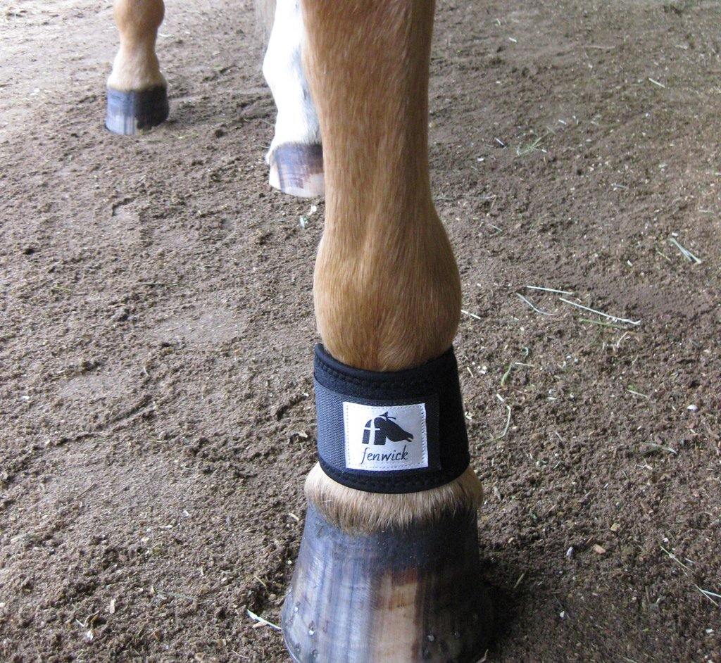 LT Pastern Wrap (pair)