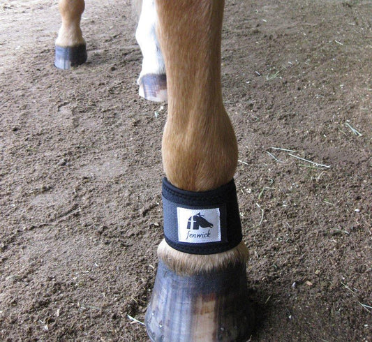 Fenwick LT Pastern Wrap (pair)