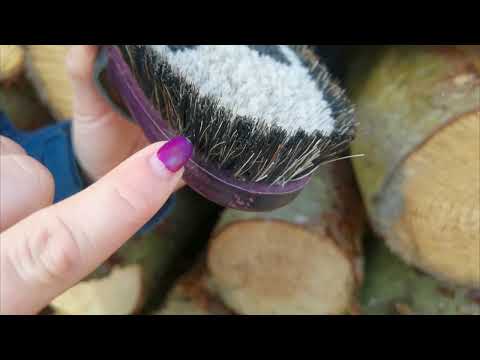 Lippizaner Brush
